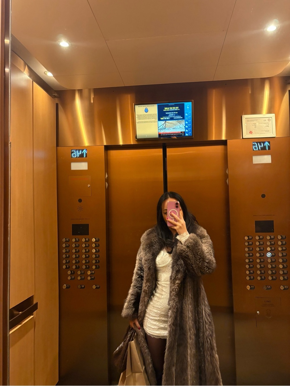 Long Fur Coat in Brown
